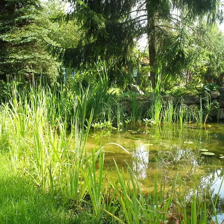 Osrodek Szeligi Holiday park *