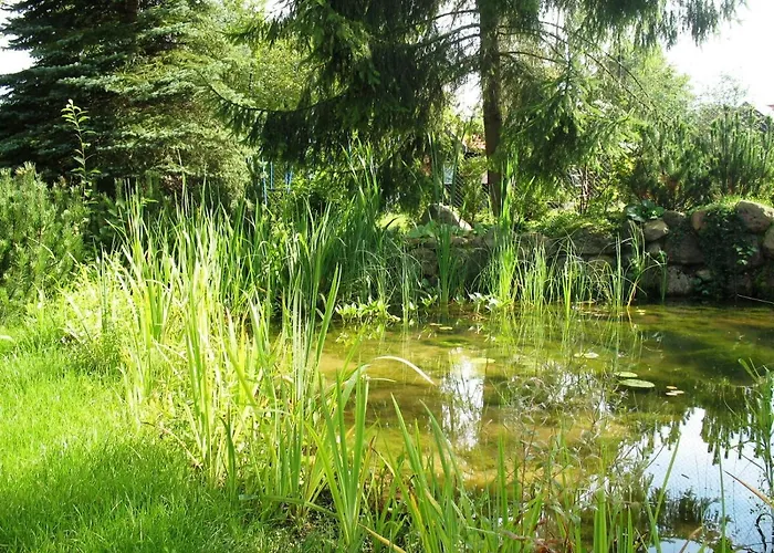 Osrodek Szeligi Prázdninový areál *